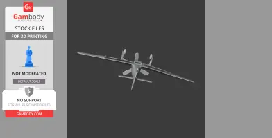 Hurricane Plane