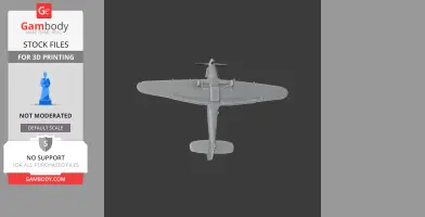 Hurricane Plane