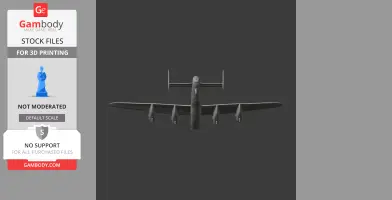 Lancaster Bomber Plane