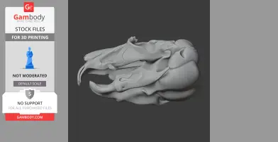 Chinchilla Skull