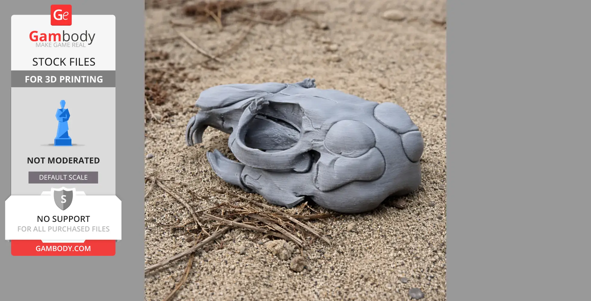 Gray 3D-printed chinchilla skull model lying on sandy ground.