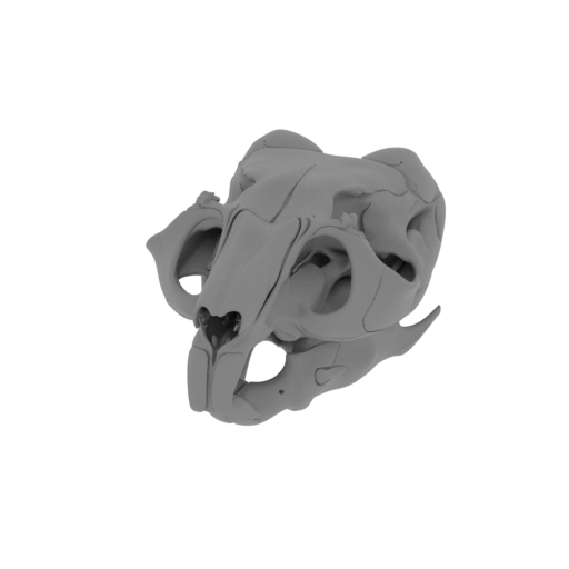 Chinchilla Skull.stl