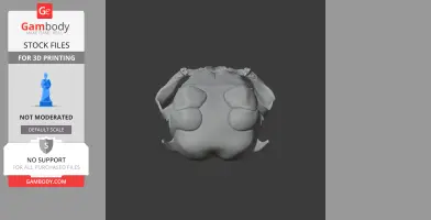 Chinchilla Skull