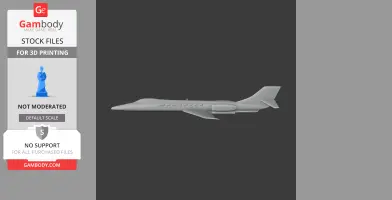 Learjet Plane