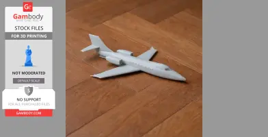 Learjet Plane