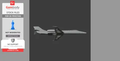 Learjet Plane