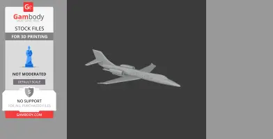 Learjet Plane