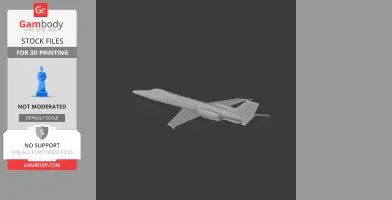Learjet Plane