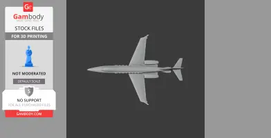 Learjet Plane