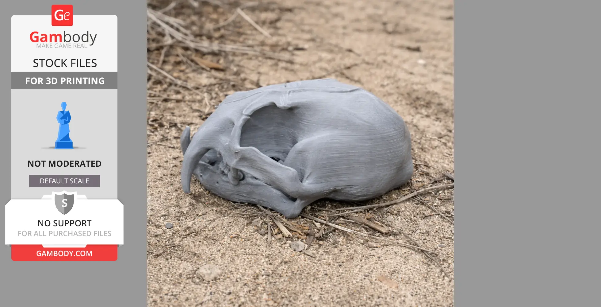 A 3D printed Clouded Leopard skull model resting on a sandy surface.