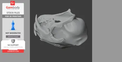 Clouded Leopard Skull