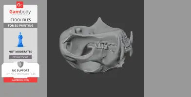 Clouded Leopard Skull