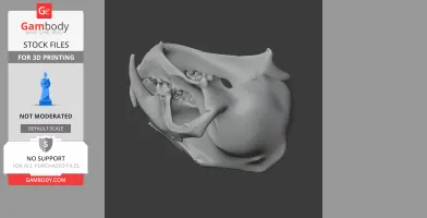 Clouded Leopard Skull