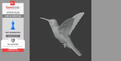 Hummingbird