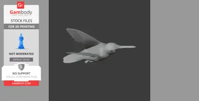 Hummingbird
