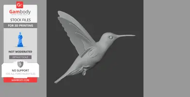 Hummingbird