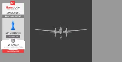 P-38 Lightning Plane