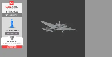 P-38 Lightning Plane