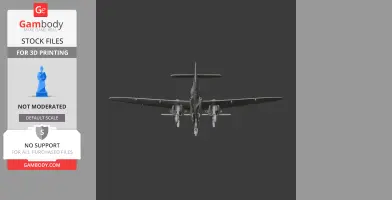 P-38 Lightning Plane