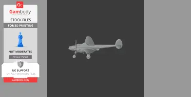 P-38 Lightning Plane
