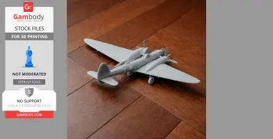 P-38 Lightning Plane
