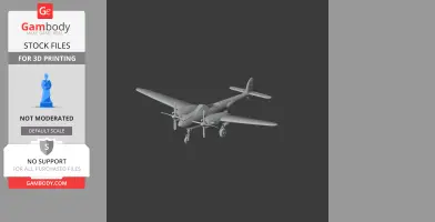 P-38 Lightning Plane