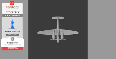 P-38 Lightning Plane