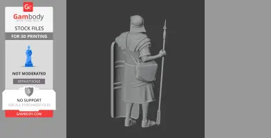 Camillus Roman Legionary