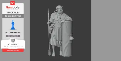 Camillus Roman Legionary