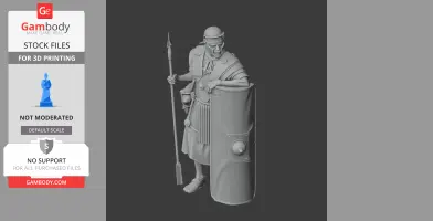 Camillus Roman Legionary