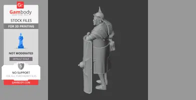 Camillus Roman Legionary