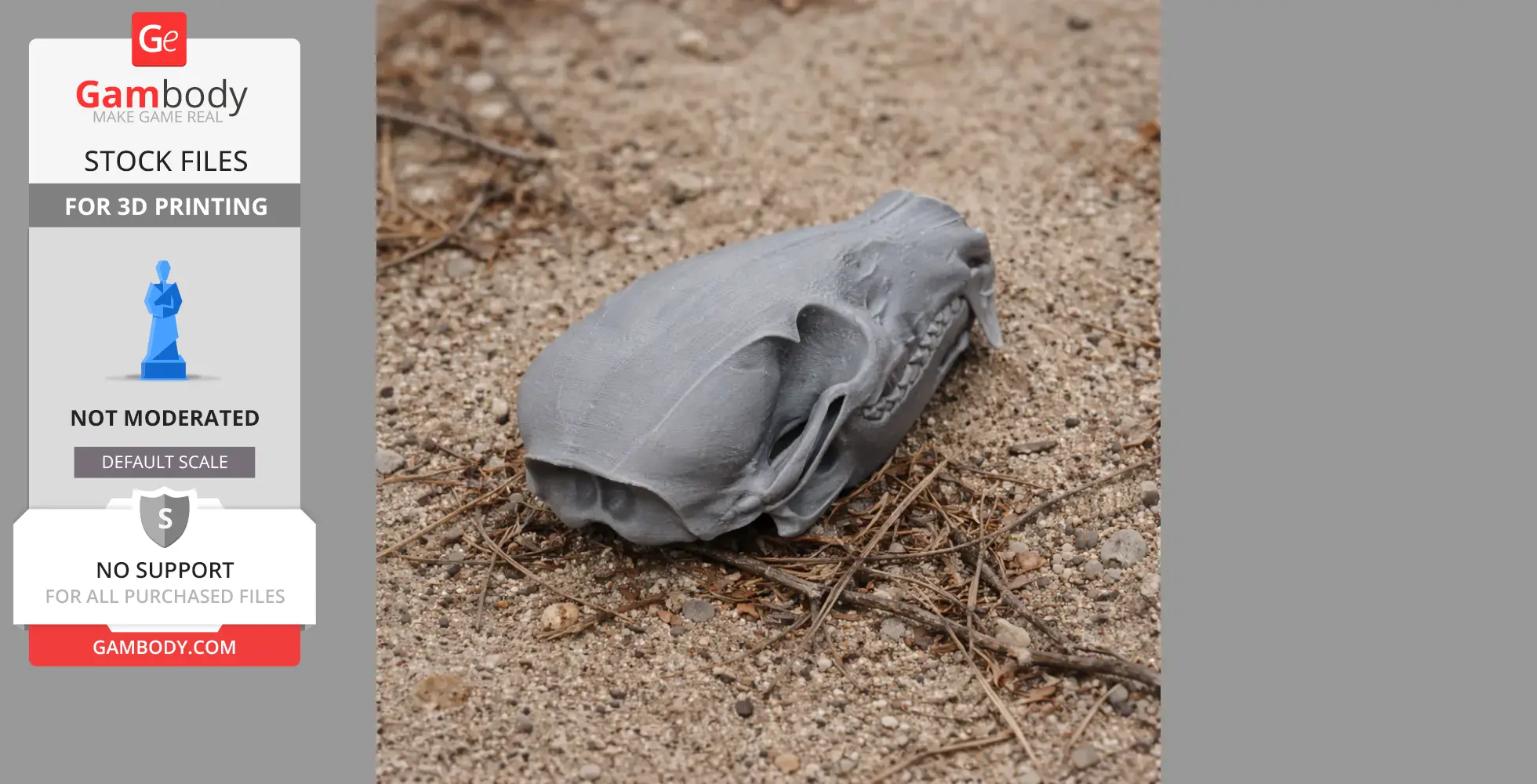 3D printed coati skull model resting on sandy ground with scattered twigs.
