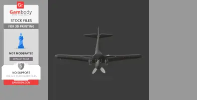P-40 Warhawk Plane