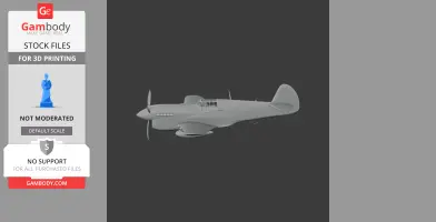P-40 Warhawk Plane