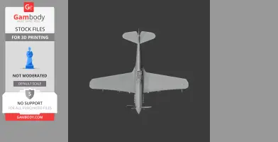 P-40 Warhawk Plane
