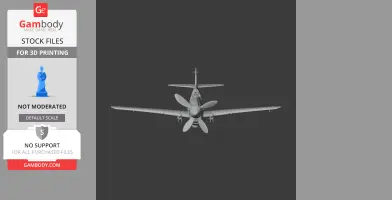 P-40 Warhawk Plane