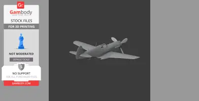 P-40 Warhawk Plane