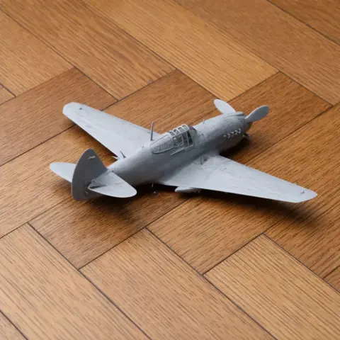 P-40 Warhawk Plane