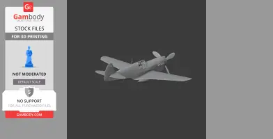 P-40 Warhawk Plane