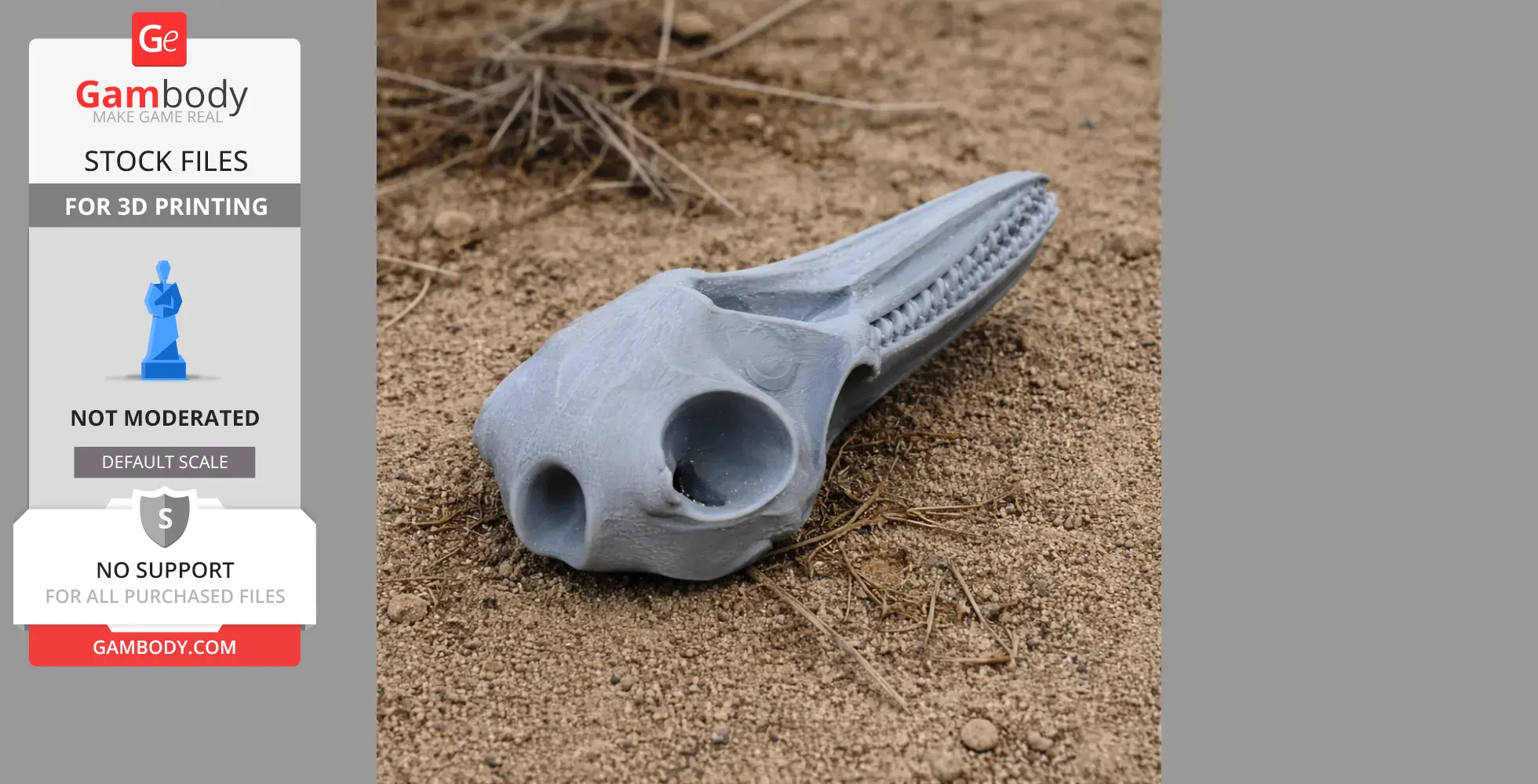 3D-printed common bottlenose dolphin skull on sandy ground.