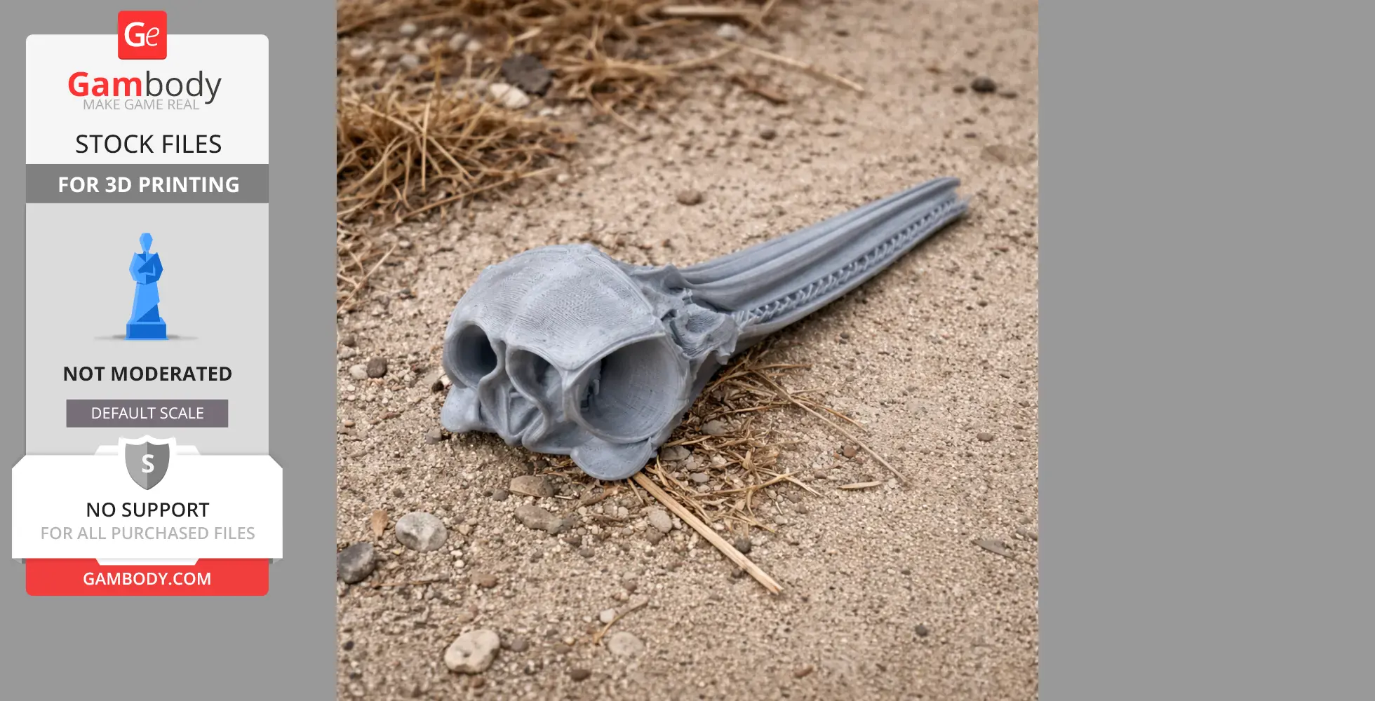 3D printed common dolphin skull model resting on sandy ground with scattered dry grass.