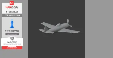 P-47 Thunderbolt Plane