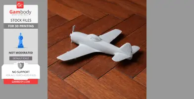 P-47 Thunderbolt Plane