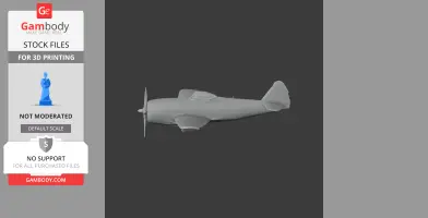 P-47 Thunderbolt Plane