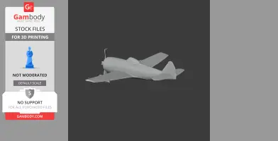 P-47 Thunderbolt Plane
