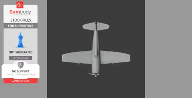 P-47 Thunderbolt Plane