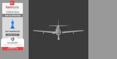 P-47 Thunderbolt Plane