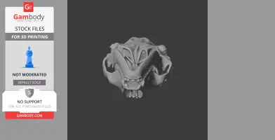 Common Seal Skull