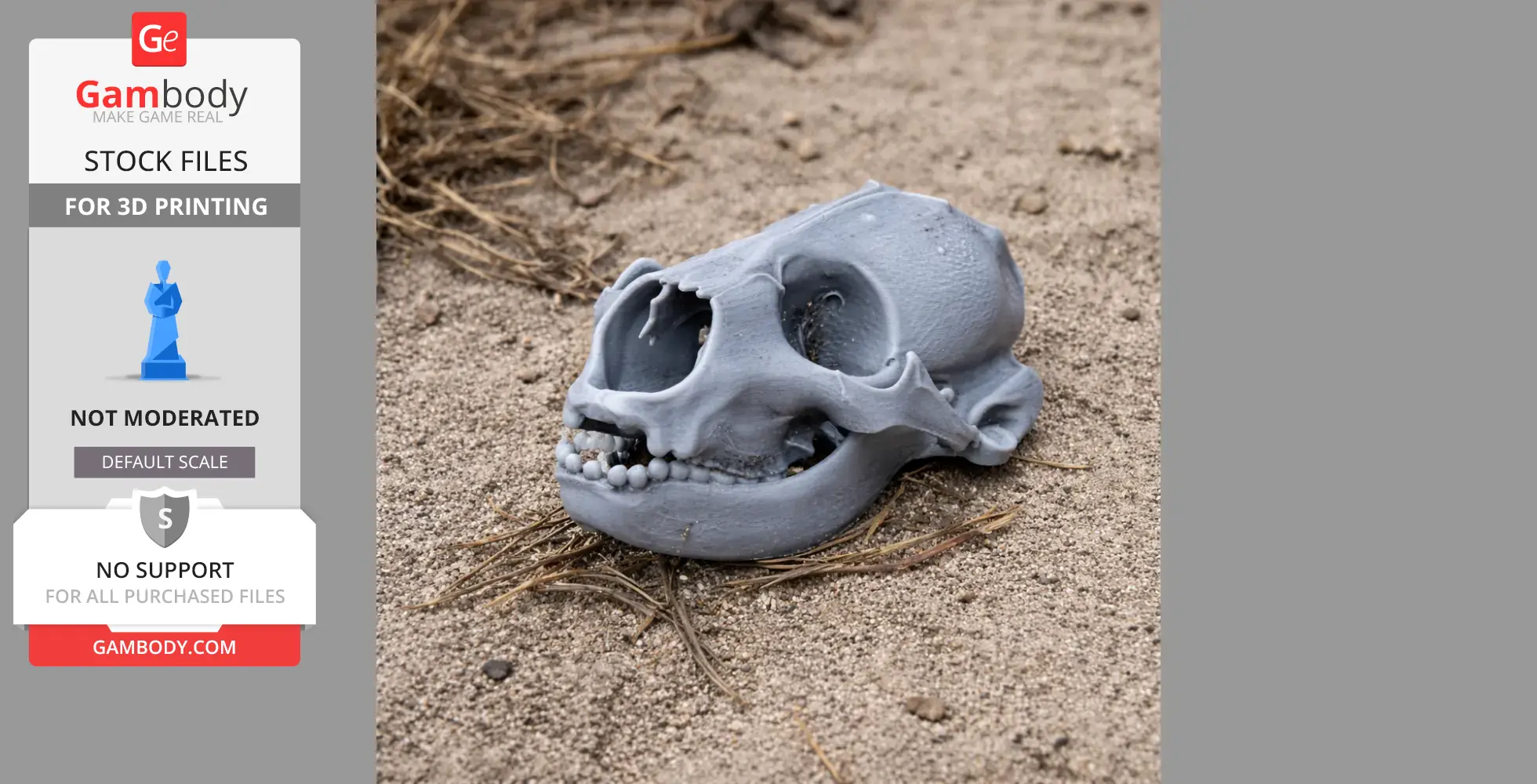 Gray 3D-printed common seal skull resting on sandy ground with scattered twigs.