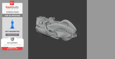 Common Seal Skull
